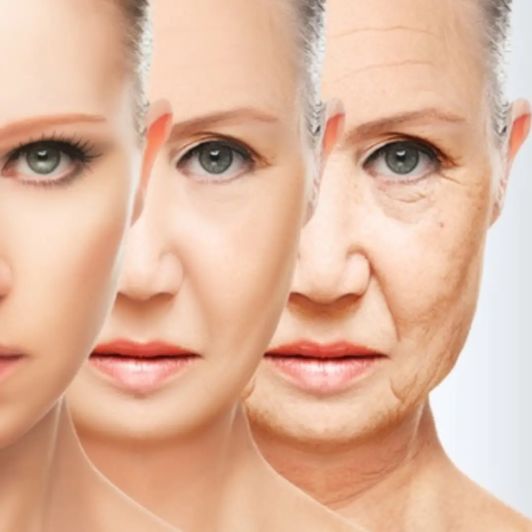 Anti-Aging Solutions